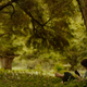 Frodo Baggins leans against a large treee and reads a book in the green fields of Hobbiton.
